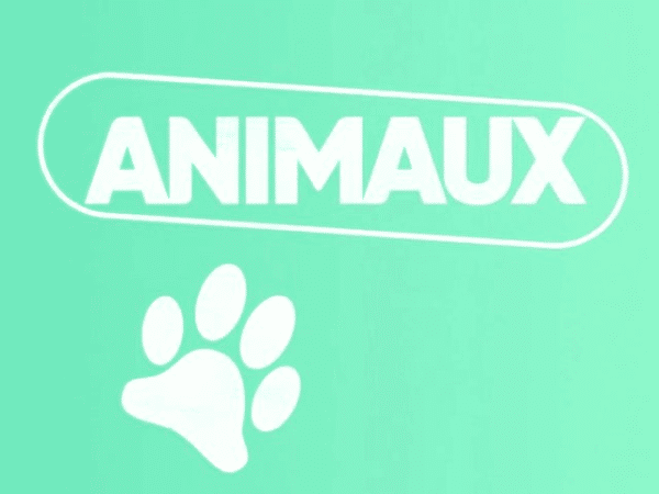 ANIMAUX