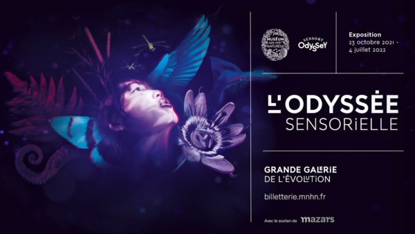 L’Odyssée sensorielle